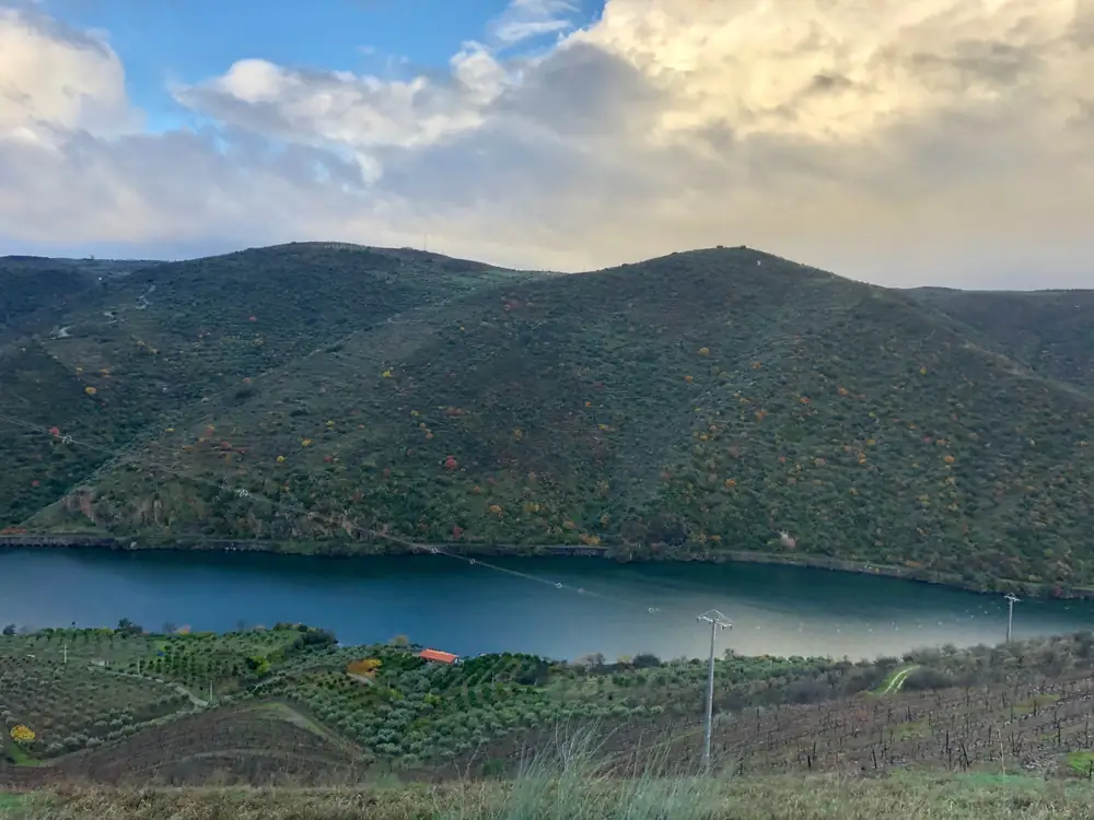 Vista alta do rio Douro, com olival em socalcos e uma casa de telhado vermelho na margem