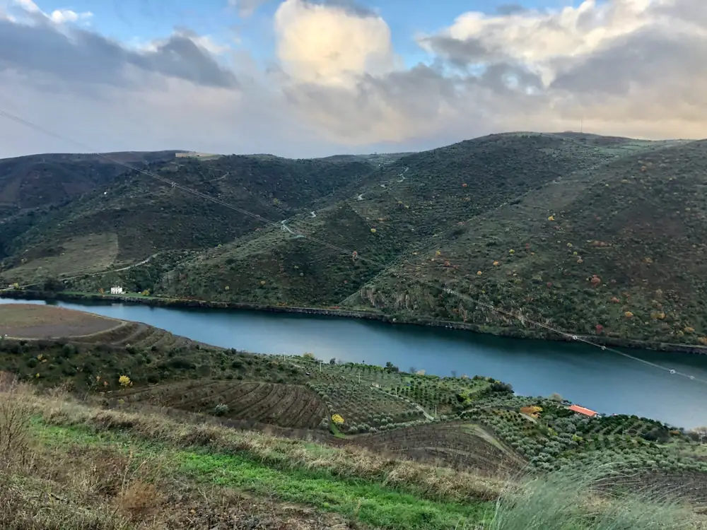 Encosta em socalcos com olival e vinha sobre o rio Douro, num dia de nuvens no outono